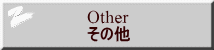 Other ���̑�