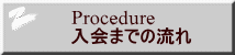 Procedure ����܂ł̗���